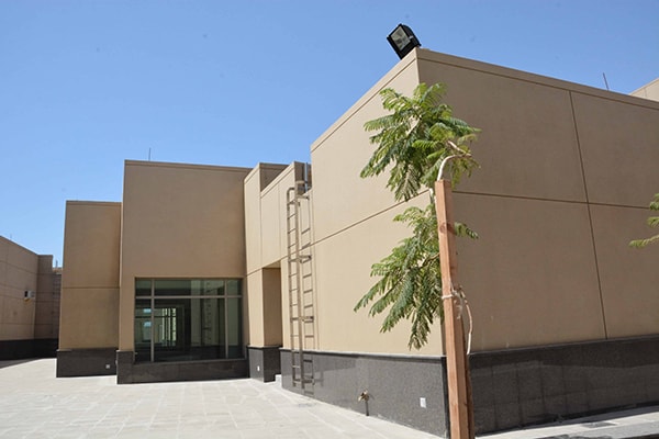 External facade of the building with a small palm tree tied to a pole