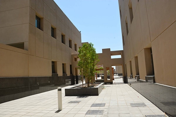 فناء داخلي مع ممرات وأشجار نخيل.