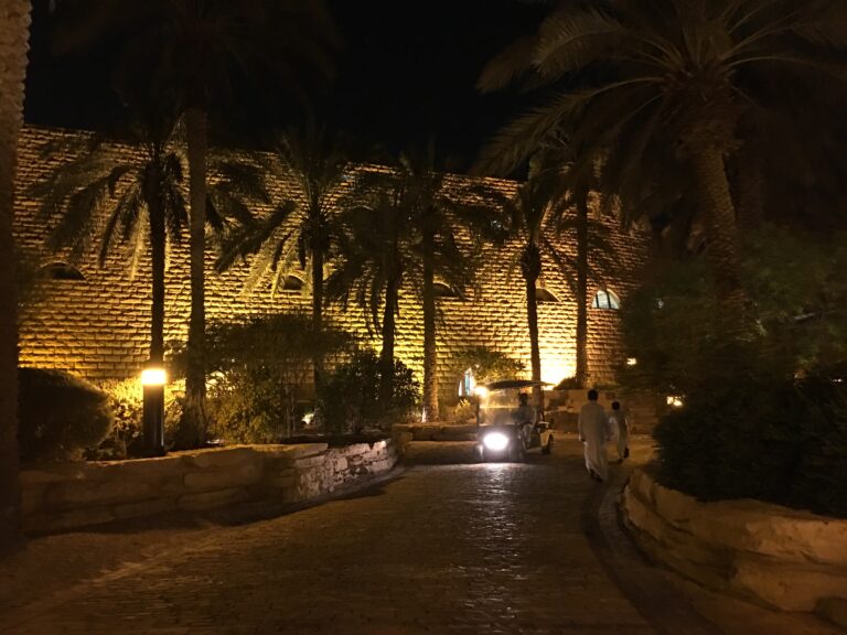 Tuwaiq Palace’s illuminated stone wall and palm garden in Riyadh | الجدار الحجري المضاء وحديقة النخيل في قصر طويق بالرياض