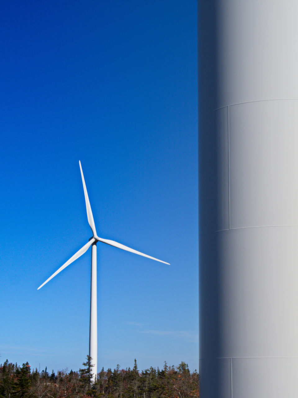 RENEWABLE ENERGY الطاقة المتجددة