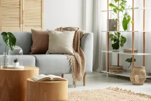Interior design basics