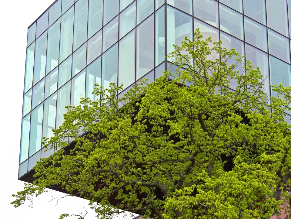 أهمية التصميم المعماري الاستدامي في عصرنا الحالي