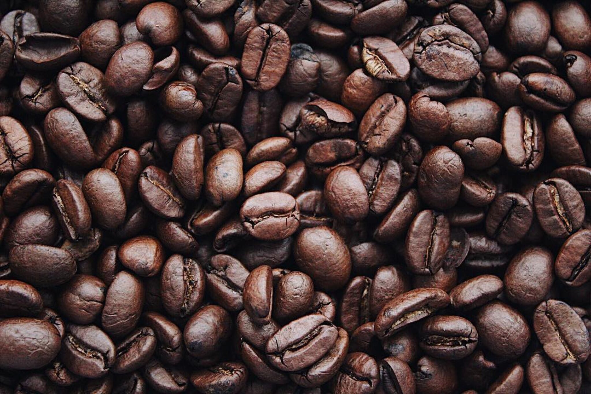 Perfect Coffee القهوة المثالية