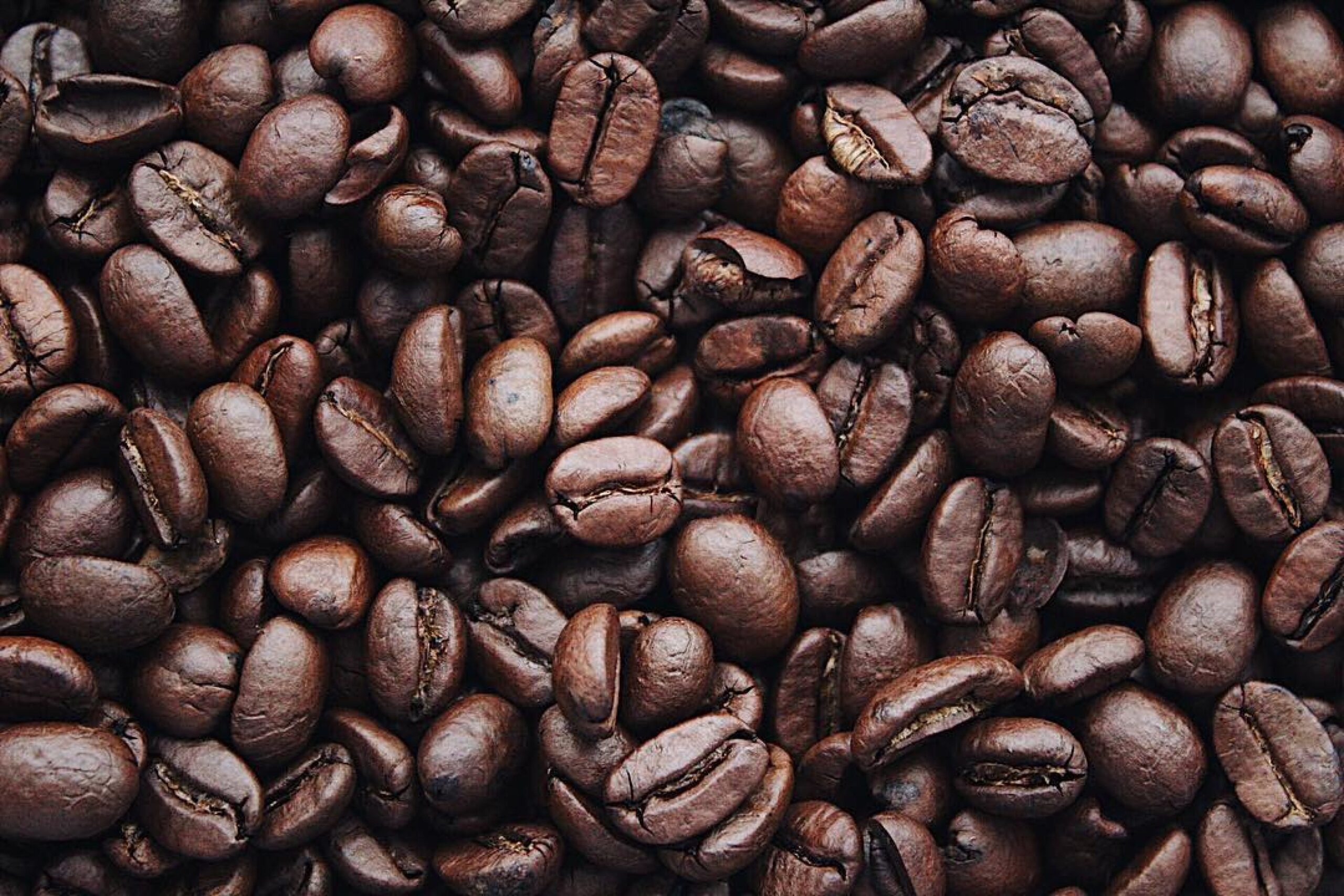 Perfect Coffee القهوة المثالية