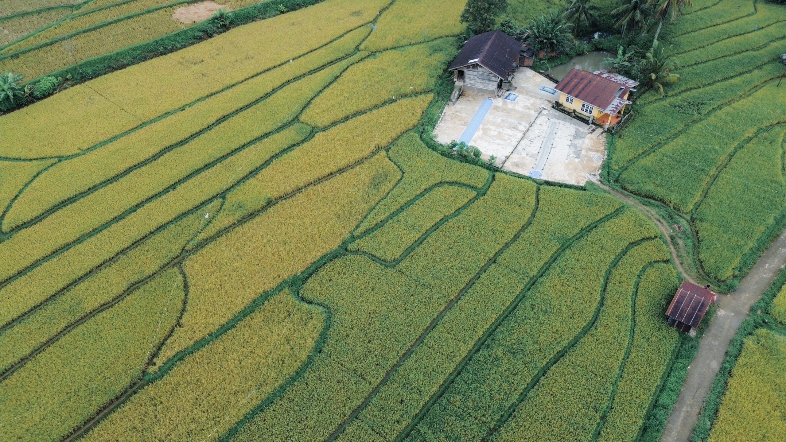 Basins Cultivation احواض زراعه