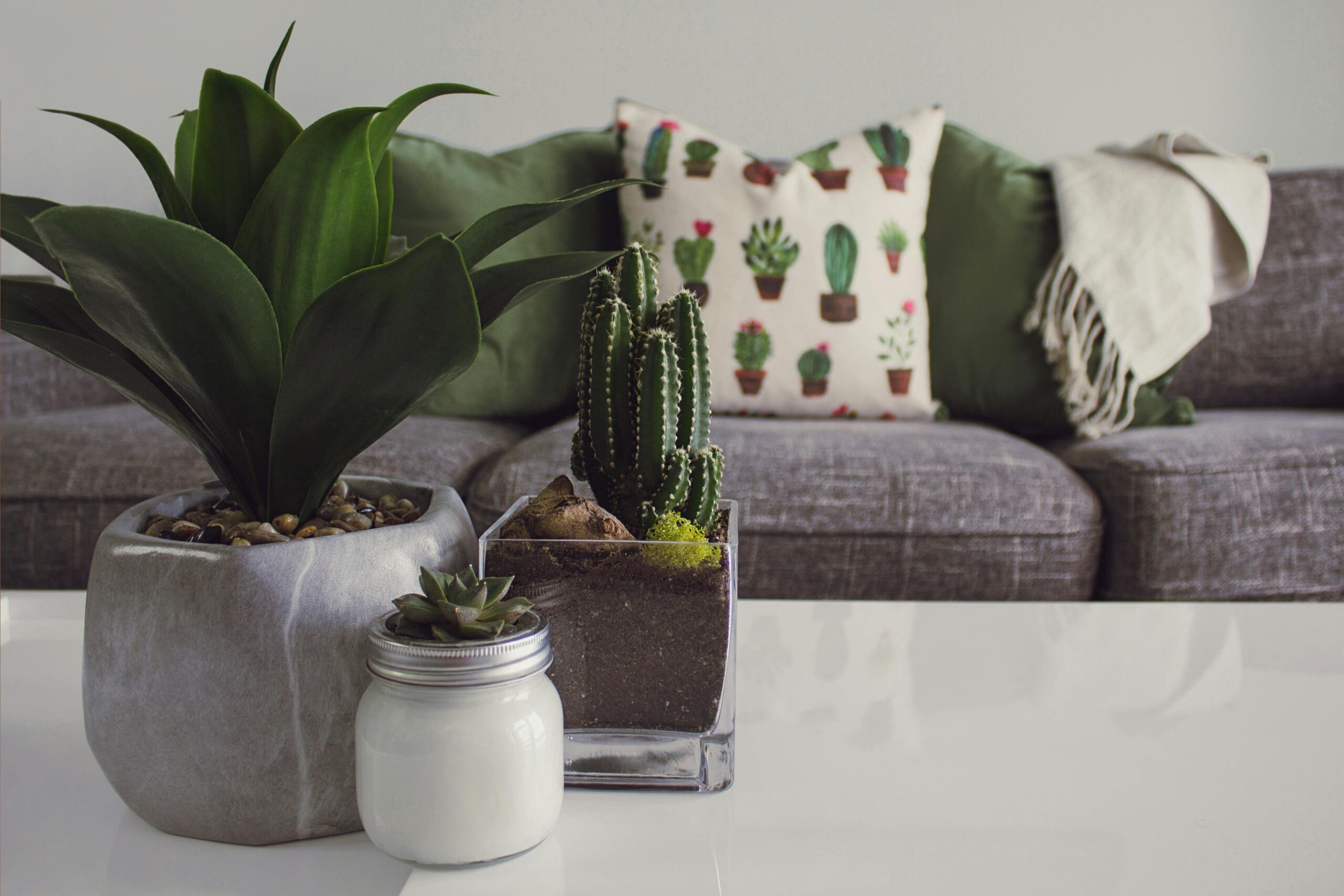 Home Decor: 5 Tips for better interior design ديكور المنزل: 5 نصائح لتصميم داخلي أفضل