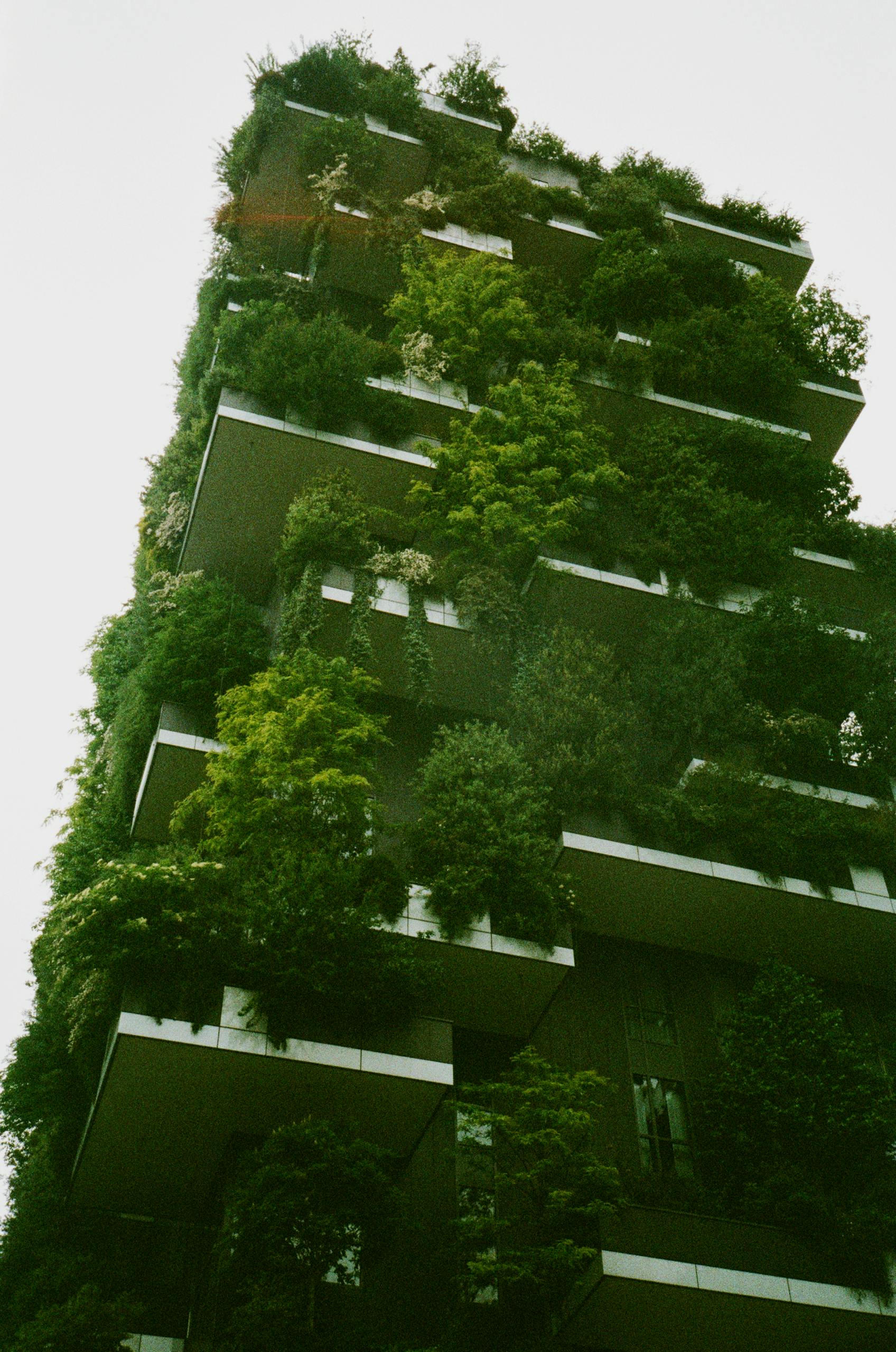 Vertical Gardens الحدائق العمودية