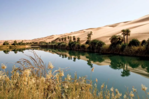 The Role of Water in Al-Ahsa's Architecture and Urban Planning دور المياه في عمارة الأحساء وتخطيطها العمراني