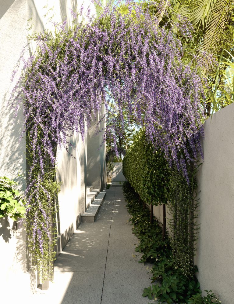 دمج التصميم الحيوي في منزلك