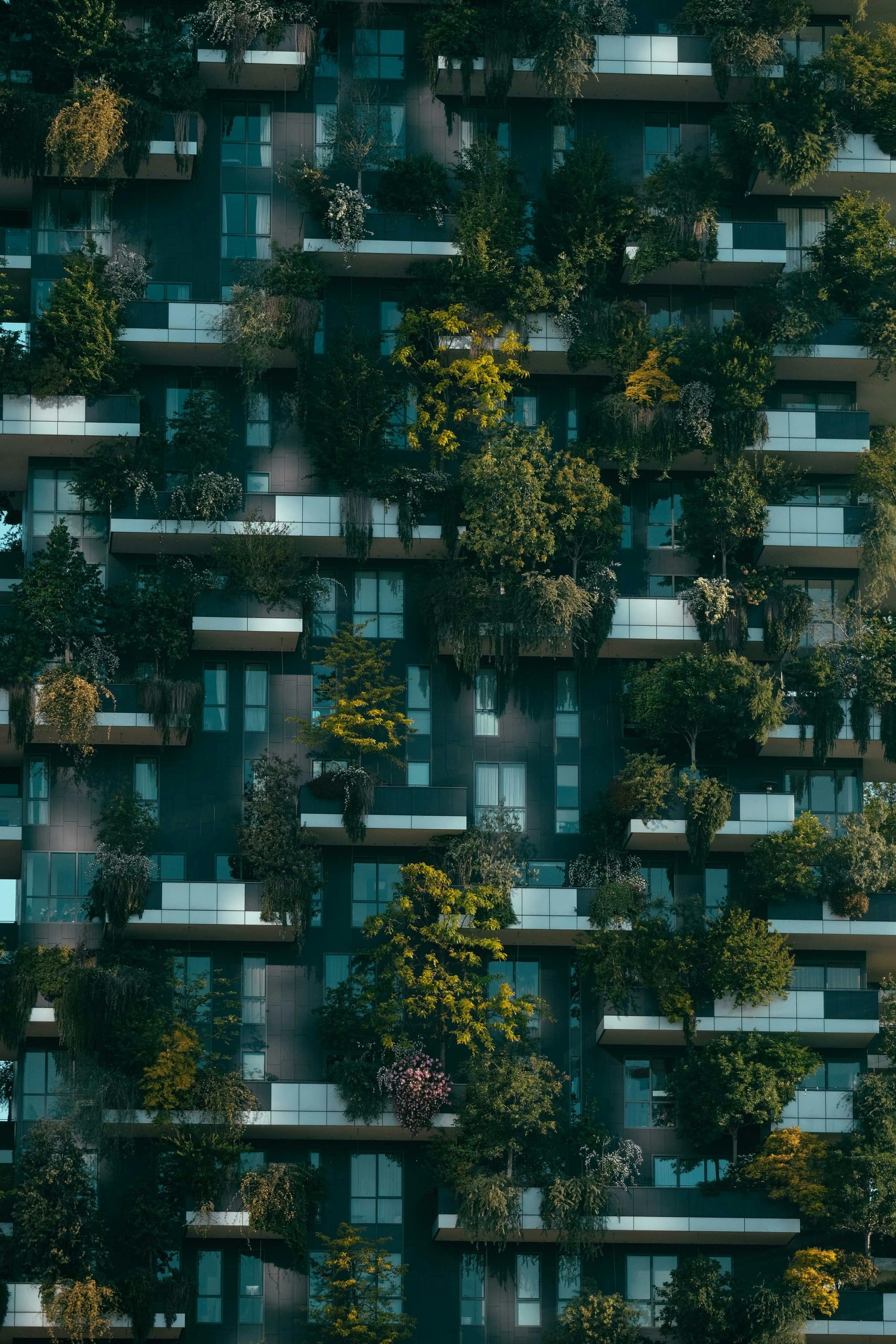 urban design
