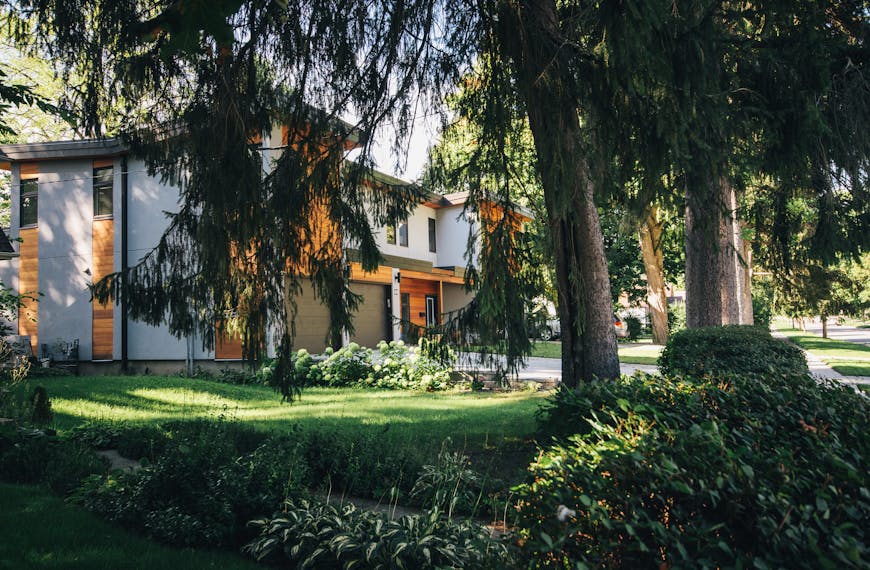 A contemporary residential home surrounded by a vibrant garden and tall trees on a sunny day.