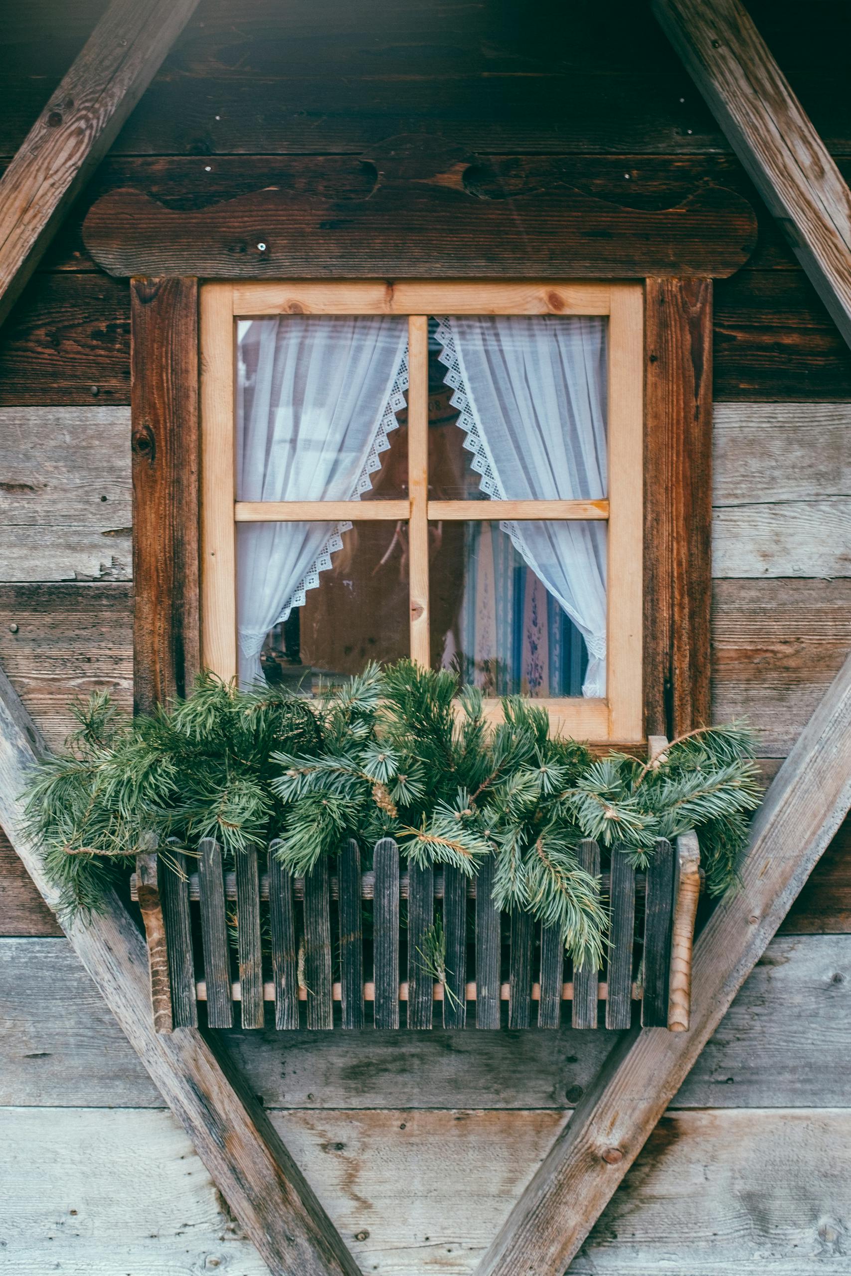 Aged rural house exterior with curtains behind window and lush green plant in pot in daytime