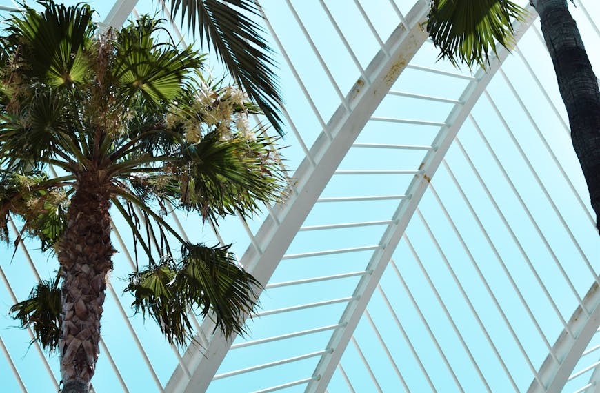 Modern architecture with palm trees in Valencia's greenhouse exhibits urban nature.