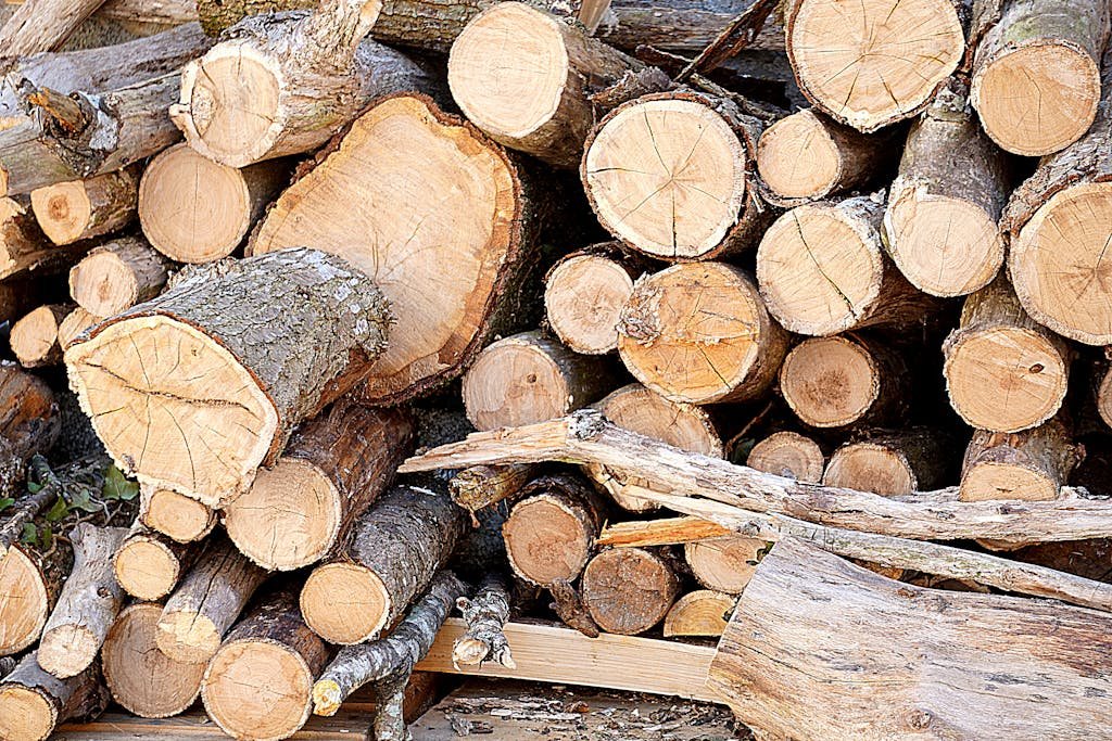 Timber in Architecture: Properties, Uses, and Environmental Impact