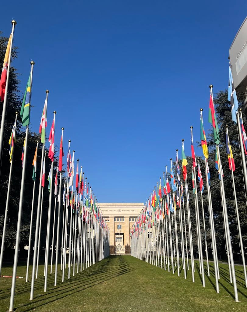 The Difference Between Buildings That Display Flags and Hidden Diplomatic Buildings