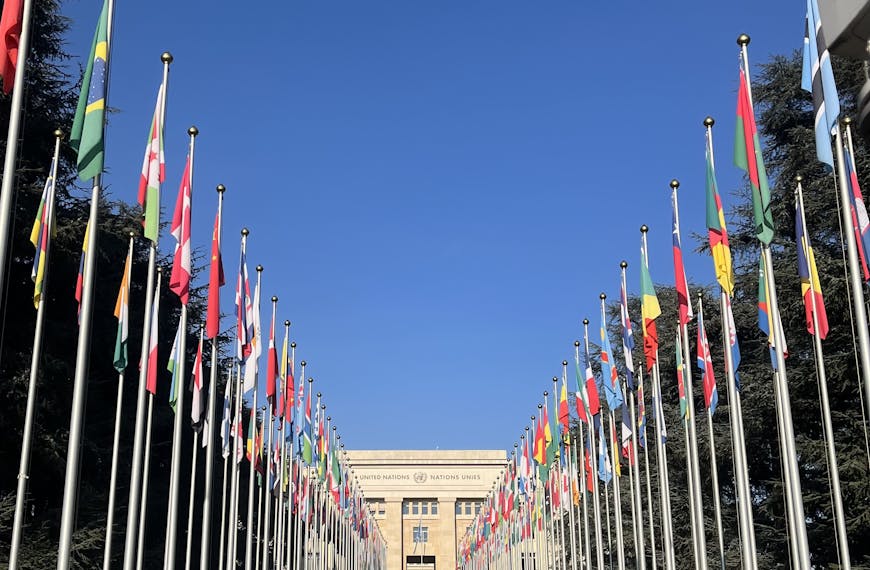 The Difference Between Buildings That Display Flags and Hidden Diplomatic Buildings