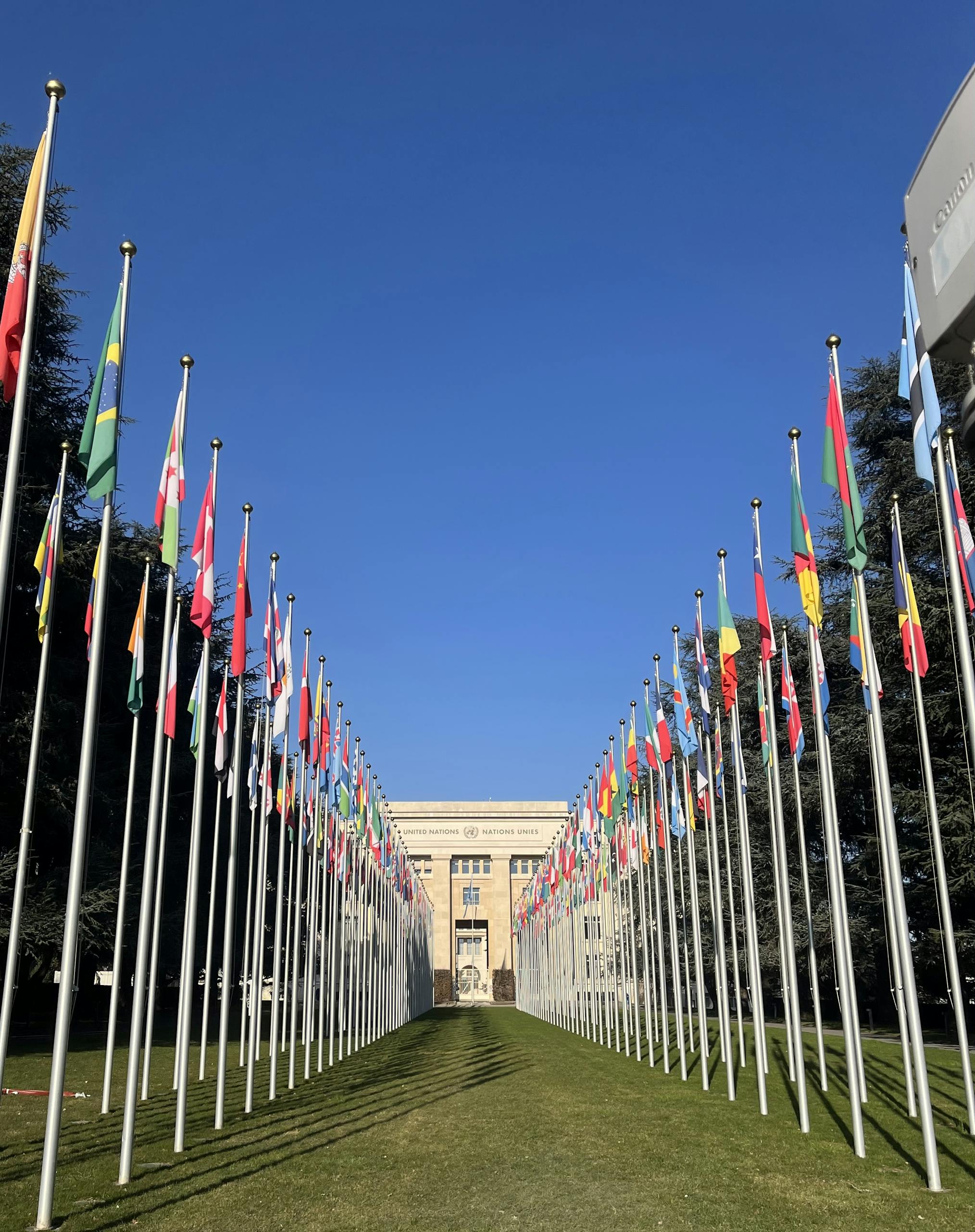 The Difference Between Buildings That Display Flags and Hidden Diplomatic Buildings