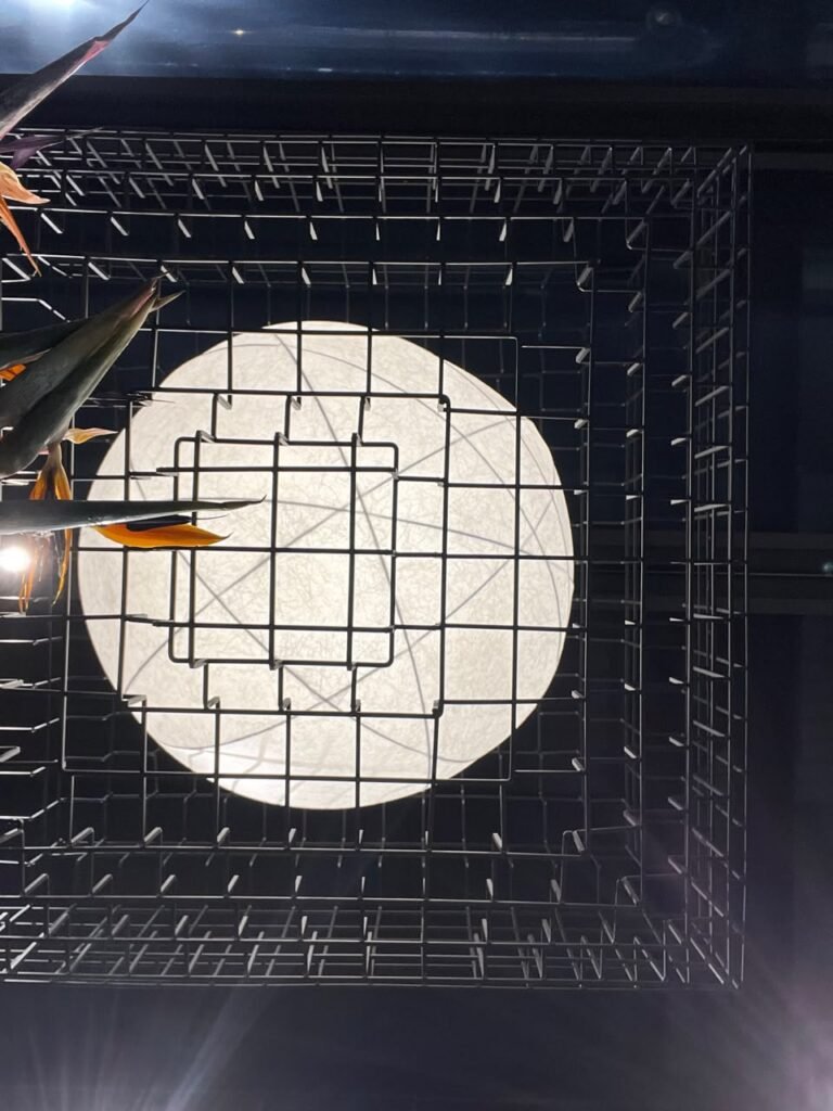 Orthographic ceiling documentation of a lighting showroom featuring a large circular translucent light fixture behind a black industrial metal wire grid matrix and organic floral elements.