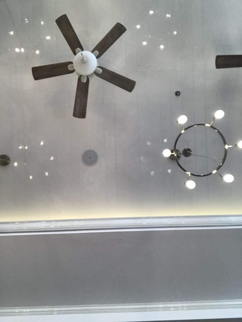 Orthographic ceiling documentation of an interior space with a mechanical panel installation, featuring a five-blade timber ceiling fan, a circular modern chandelier, and recessed pinspots.