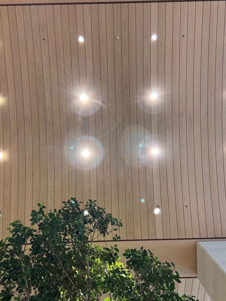 Orthographic low-angle view of a bio-based linear timber slat ceiling with warm vertical wooden acoustic baffles, evenly spaced recessed circular downlights, and vibrant green indoor tree foliage framing the bottom edge.
