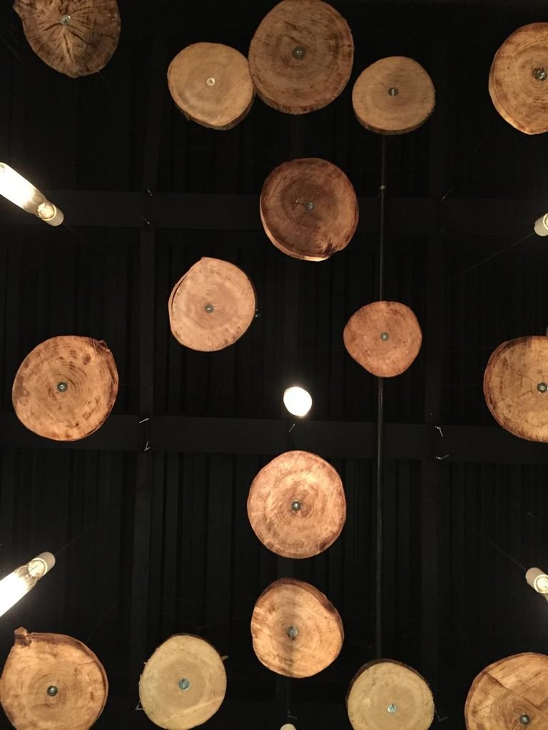 An orthographic view looking up at a matte black ceiling grid populated with floating, suspended natural timber log slices showing distinct tree ring patterns, interspersed with warm filament pendant bulbs.