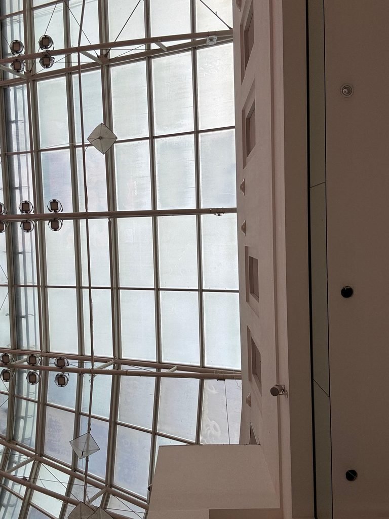 Orthographic view looking up at a grand multi-pane glass skylight roof supported by white steel framing, suspended diamond acoustic baffles, and directional spotlight arrays along a white atrium bulkhead wall.