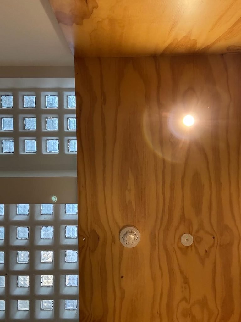 Orthographic low-angle view of a basement cafe ceiling split between a natural grain plywood soffit with recessed downlights and a pavement vault light grid composed of glass blocks embedded in the sidewalk above.