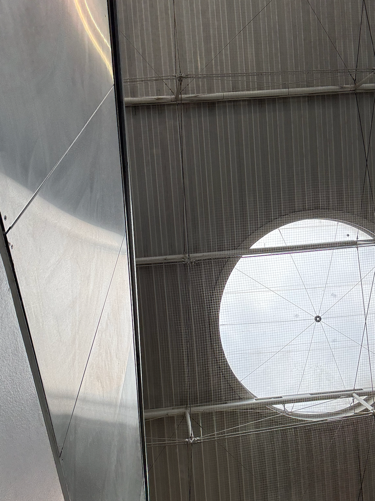 Orthographic view looking up at a modern train station concourse ceiling featuring a large circular skylight oculus with radial tension wires and safety netting, grey ribbed metal decking, structural white steel pipes, and polished stainless steel wall cladding on the left.